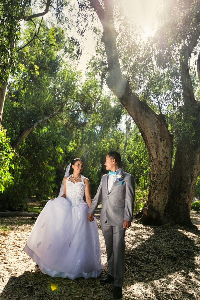 A bride and groom under a tree in Los Angeles captured by a photographer.