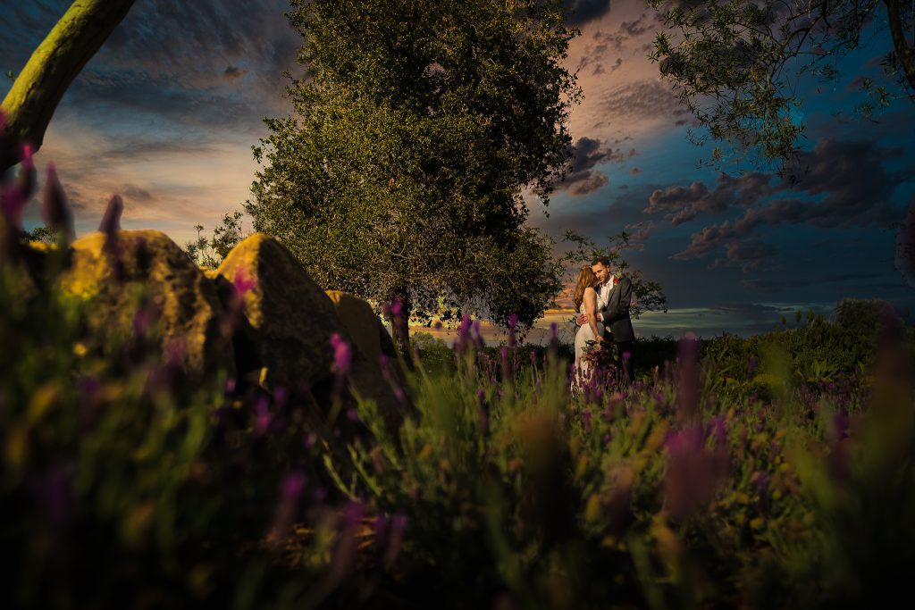 Photographer Thomas Kim captures a bride and groom in front of a field of lavender in Los Angeles.