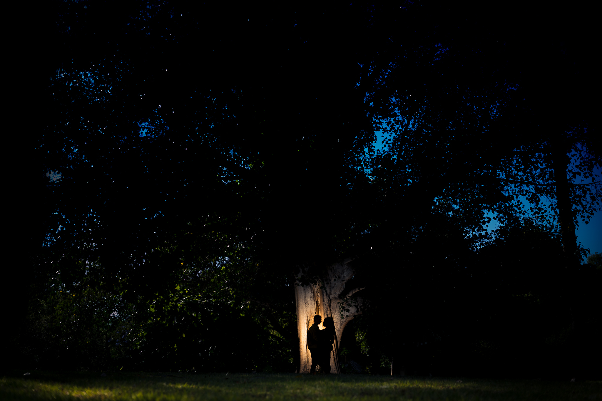 ThomasKim_photography Capturing a couple's love story under a tree at night during engagement photography.