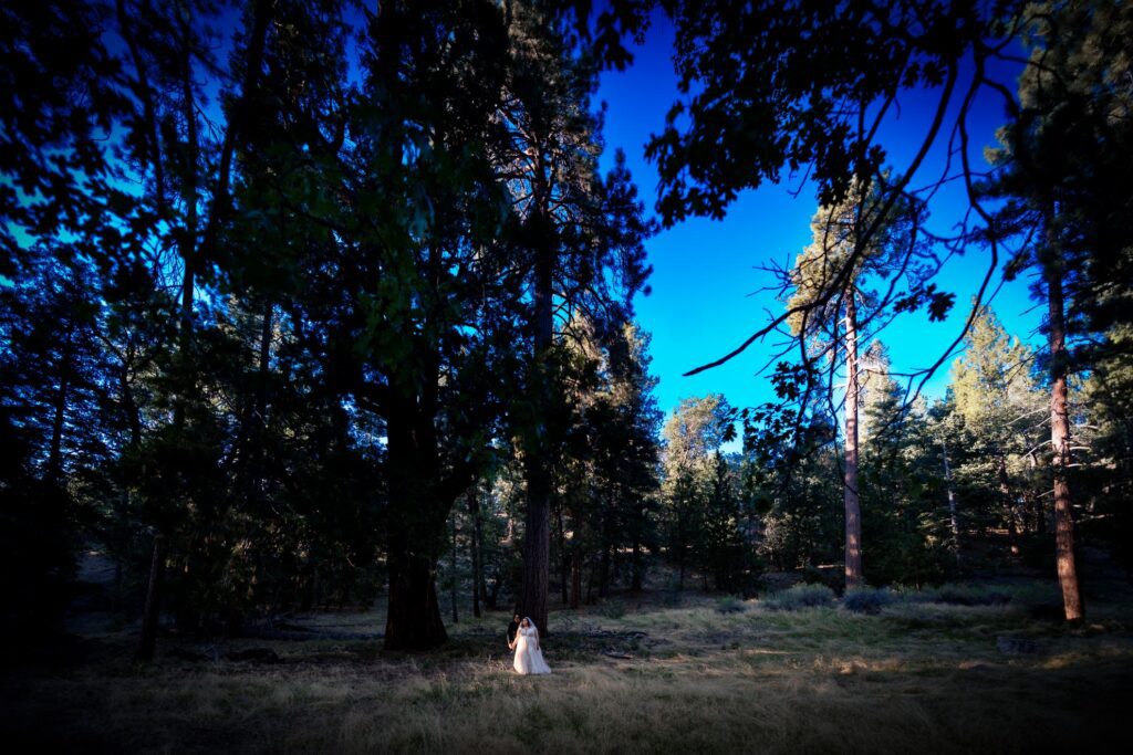 A bride is standing in the middle of a forest.