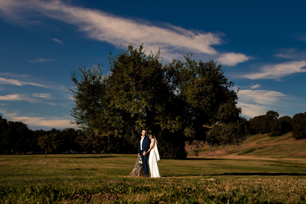 ThomasKim Photography Los Angeles Wedding Photographer A couple in formal attire stands beside a large tree in an open field under a blue sky with scattered clouds.