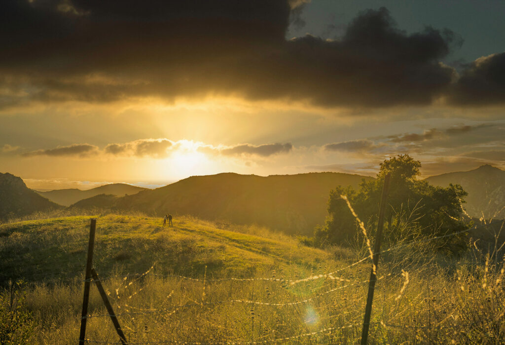ThomasKim Photography Los Angeles Wedding Photographer A sunset over a grassy hill in Southern California paints the sky with hues of gold and pink