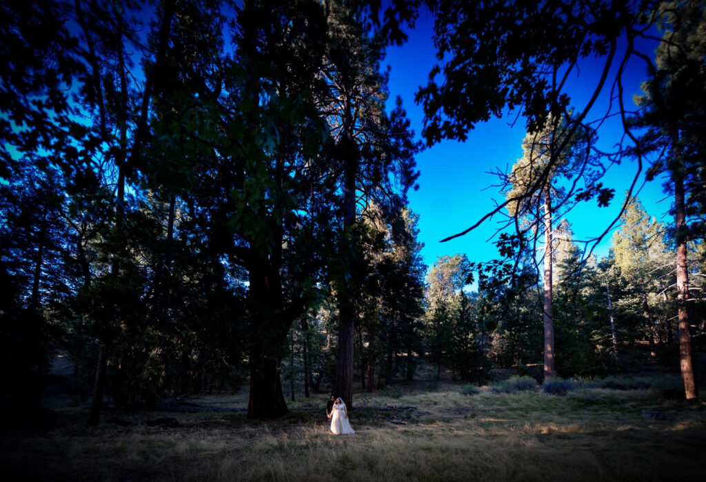 ThomasKim Photography Los Angeles Wedding Photographer A bride and groom stand amidst a forest clearing