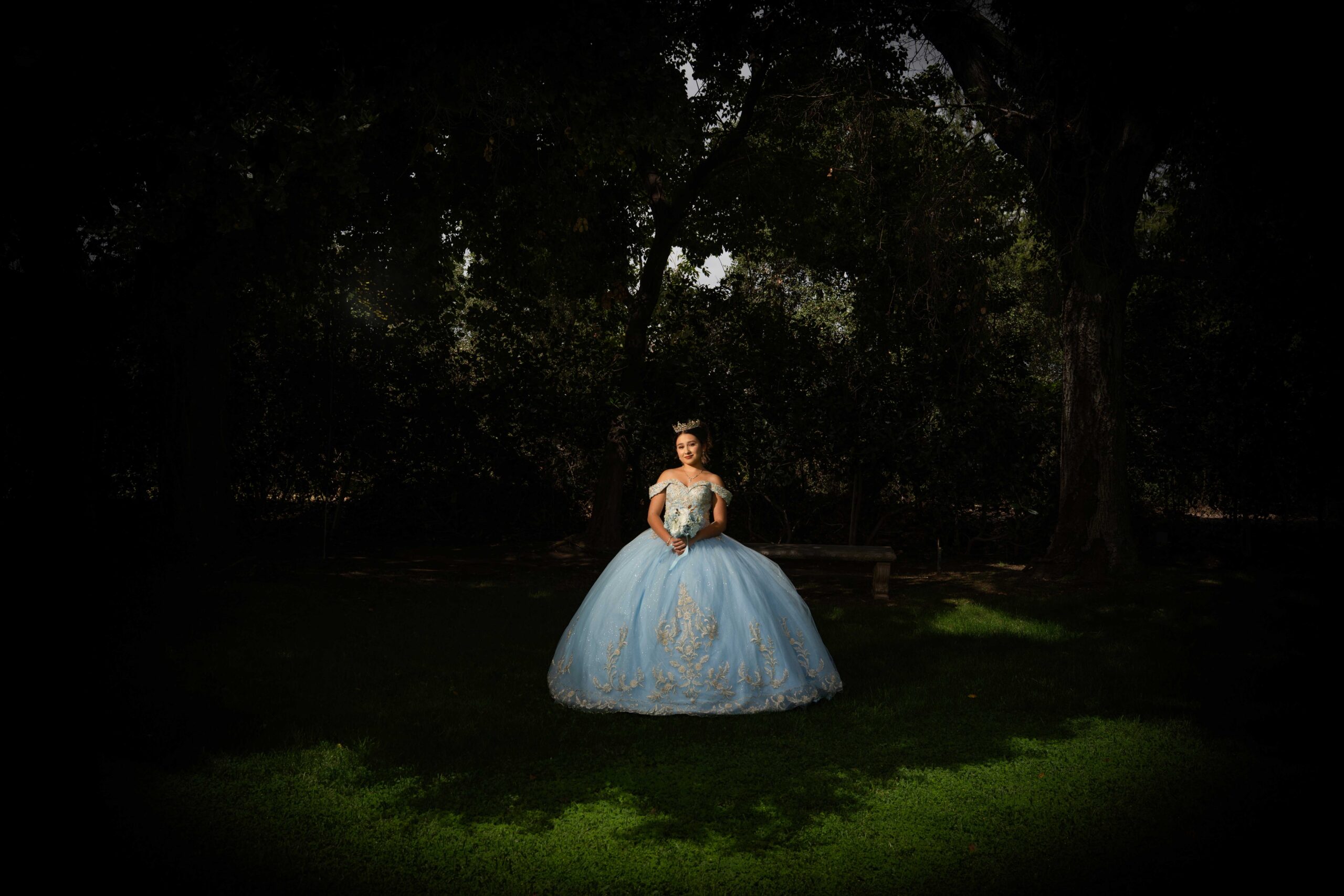 A young woman in a light blue ball gown stands on grass, facing the camera, with trees and dark shadows in the background.